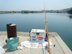 浦で投げ釣り！港内のピンポインでせめてお土産GET！