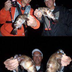 樽井漁港でプラッキング　メバルにシーバス