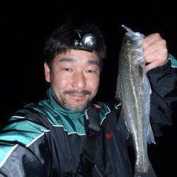 樽井漁港でプラッキング　メバルにシーバス