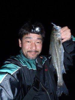 樽井漁港でプラッキング　メバルにシーバス