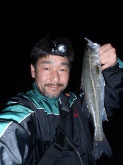 樽井漁港でプラッキング　メバルにシーバス