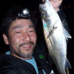 佐野漁港、二人でシーバスＭＡＸ７０ｃｍを頭に５匹