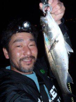 佐野漁港、二人でシーバスＭＡＸ７０ｃｍを頭に５匹