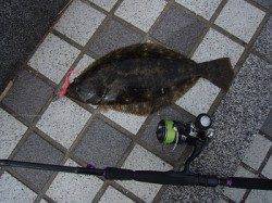 天橋立にてワインド〜朝一マゴチ&昼前にヒラメをGET！