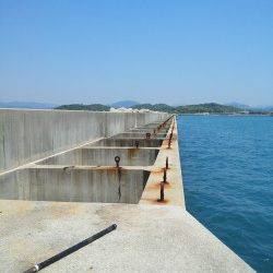 南塩谷のケーソンでフカセ釣り、グレ・チャリコ・ベラ