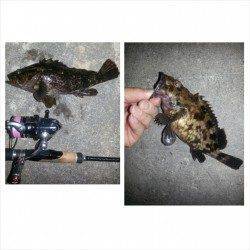 雨上がり 大潮 ということで舞洲にチニング釣行、大変楽しめました(^-^)v