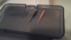 小島　フロートリグでのアジ狙い　連続リフト＆フォールに反応