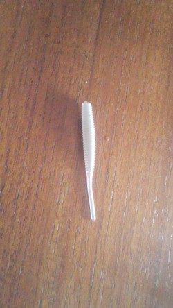 小島　メバリング釣行も苦戦で夜明け