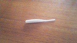 小島でのメバリング釣果