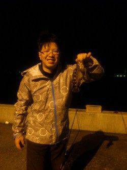 兵庫突堤　イカは人の多さに断念　投げ・探り釣りでアナゴ＆ガシラ