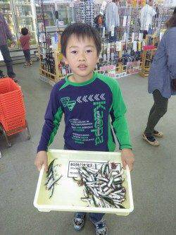 元島堤防でサビキ釣り、お子さんも楽しめるイワシの釣果