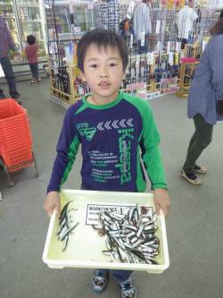 元島堤防でサビキ釣り、お子さんも楽しめるイ…