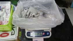 口和深にてエギング　キロオーバーです♪