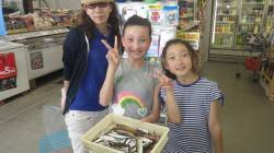 田辺・芳養堤防　サビキ＆投げ釣りでアジなど…