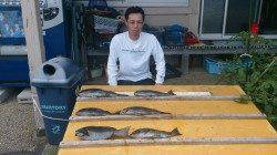 大イナヤでグレ40cmを頭に6枚の釣果