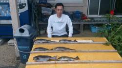 大イナヤでグレ40cmを頭に6枚の釣果