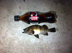 本荘人工島メバリング〜フロートリグで沖の表…