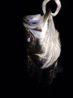 汐見埠頭バチルアーでシーバス、中層狙いで1匹