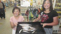 堺漁港でジャンボキス！！見たことないビッグサイズです