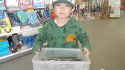 新芳養堤防　サビキでイワシ楽しめます★