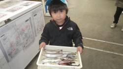 旧芳養堤防のキスは良型ですね！ ほかガシラ…