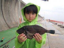 平磯海釣り公園、アミエビのウキ釣りで立派なウマヅラハギ