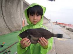 平磯海釣り公園、アミエビのウキ釣りで立派な…