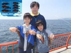 平磯海釣り公園、ファミリーで胴突、ガシラを…
