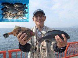 平磯海づり公園、グレ・ウマヅラハギ・メバルでお土産たっぷり