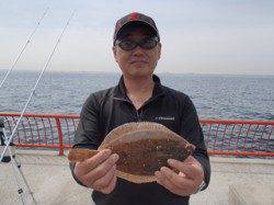 平磯海づり公園の投げ釣りでカレイの釣果