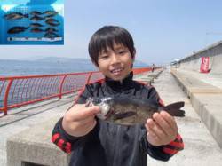 【釣り日和です】平磯海づり公園、胴突で根魚…