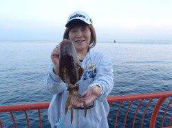 平磯海づり公園　エギングでアオリイカの釣果あり