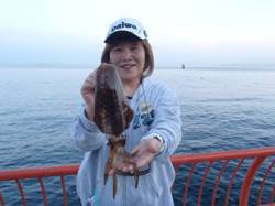 平磯海づり公園　エギングでアオリイカの釣果…