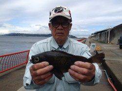 平磯海づり公園　落とし込みでメバル29cm！