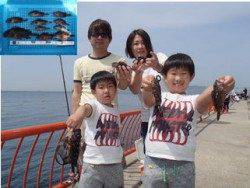 平磯海釣り公園　胴突き仕掛けでガシラの釣果