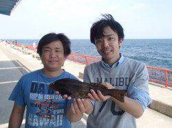 平磯海づり公園 投げ釣りでアイナメ35.5cm