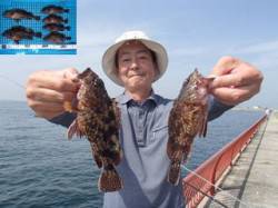 平磯海づり公園 落とし込みでのガシラ釣果