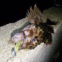 シーズンまっただ中！メバリングのおはなし【karakuri氏　連載記事】