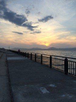 神戸空港メバリング〜ボトムワインドでガシラ