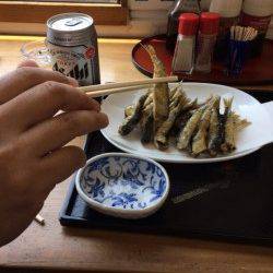 マリーナシティ釣り公園のサビキ釣り〜イワシと豆アジいただきます♪