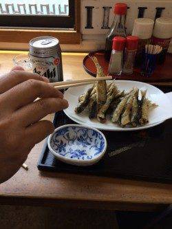 マリーナシティ釣り公園のサビキ釣り〜イワシと豆アジいただきます♪