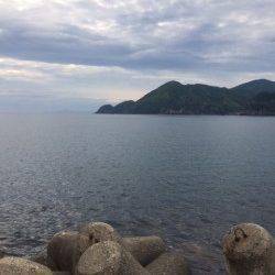 満月＆大潮期待大で日本海側にエントリー！釣果は1400gのコウイカ