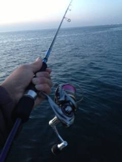 小島周辺 エギングでアオリイカの釣果