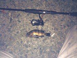 江井ヶ島メバリング〜メバルの引きを楽しめました