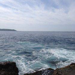 水面下をスローリトリーブでヒット☆村島磯ルアーでブリの釣果