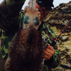 南紀地磯にて日中～夕まずめエギング、1.2〜2.2kg3バイ！！
