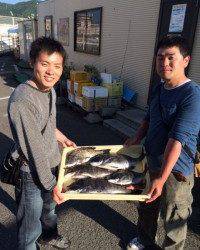 マリーナシティ海釣り公園 良型チヌが釣れています♪