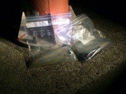 白浜付近でエギング、夕方に待望のヒット！