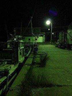 鳥取ノ荘　風を避けて湾内メインのメバリング