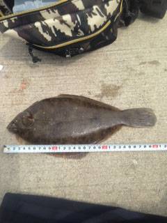 須磨エリア、遠投はやめてちょい投げしたらカ…